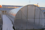 теплица 6